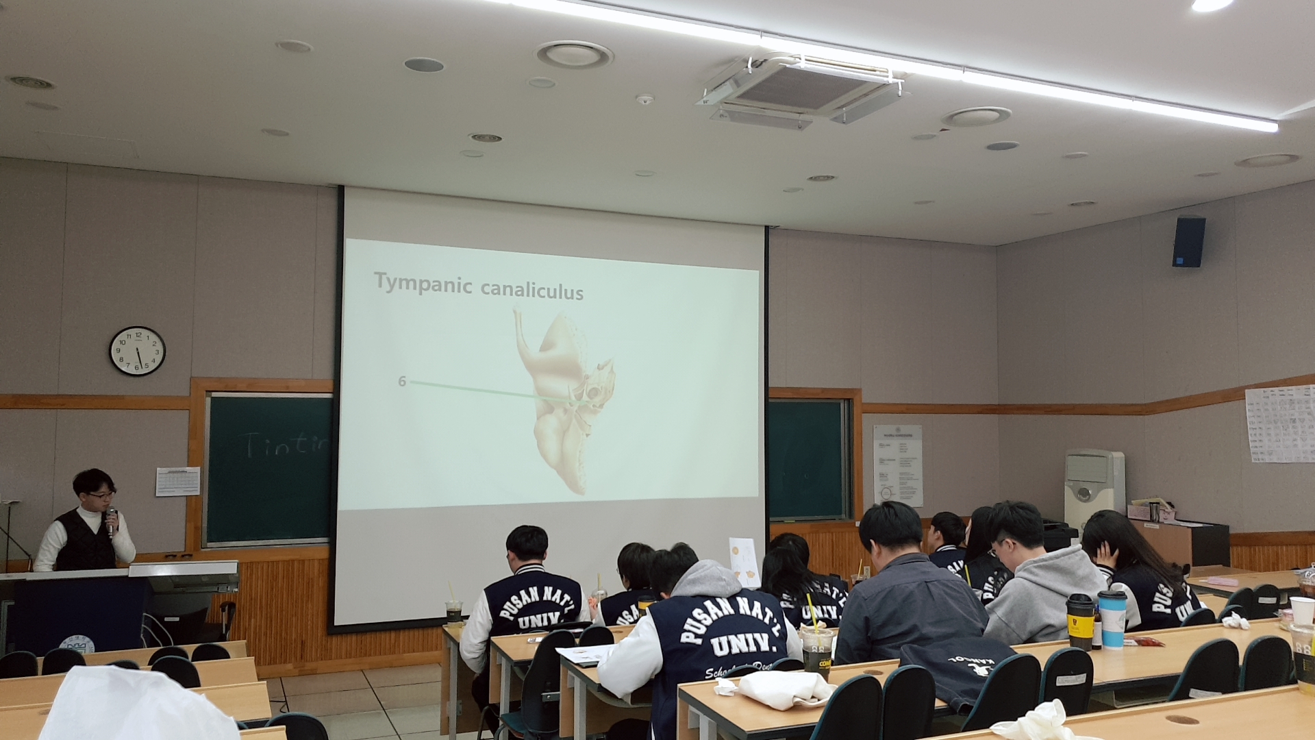 2019 osteology education image (3).jpg