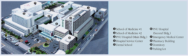 Ami-dong Campus